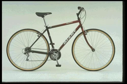 1997 Giant Option