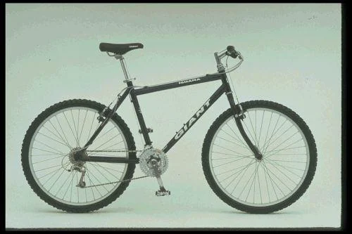 1997 Giant Iguana (02)