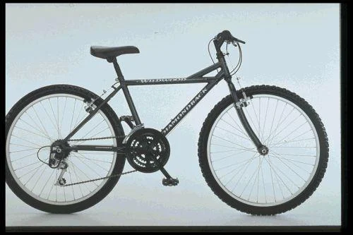 1997 Diamondback Wildwood 24