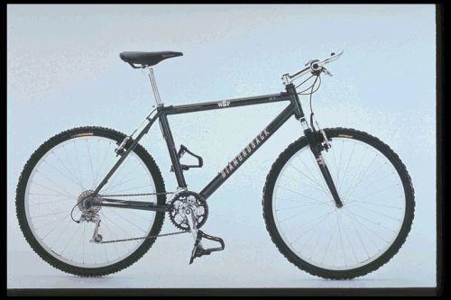 1997 Diamondback WCF 2.1