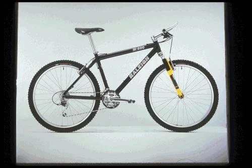 1997 Raleigh M800