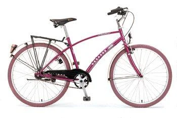 1997 Ross Pegasus w/fenders