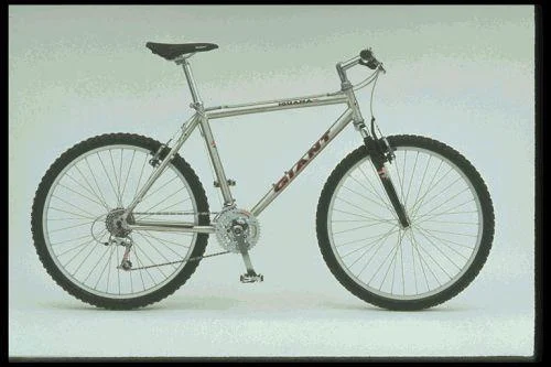 1997 Giant Iguana SE (02)