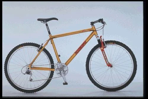 1997 Diamondback Zetec Pro