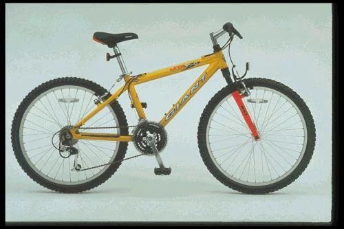 1997 Giant MTX 250