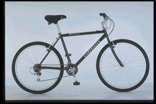 1997 Diamondback Wildwood