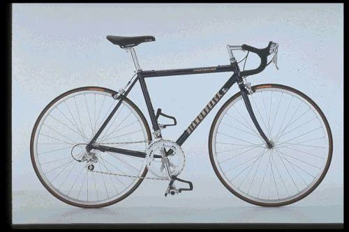 1997 Diamondback WCF Master