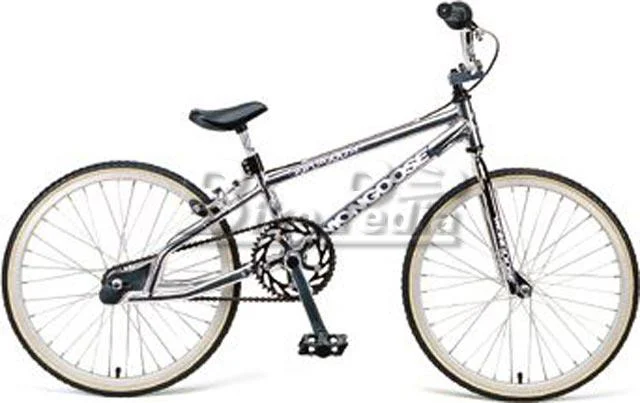 1998 Mongoose Supergoose Jr.