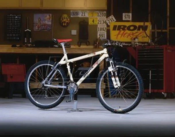 1998 Iron Horse ARS 7.0