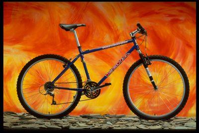 1998 Kona Fire Mountain