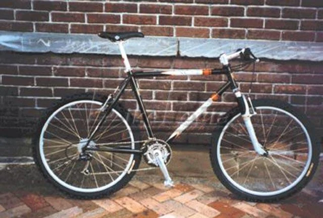 1998 Alpine Designs XC-2