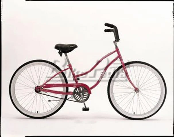 1998 Ross Beach Commander (02)