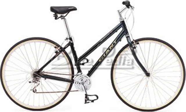 1998 Giant Cypress (02)
