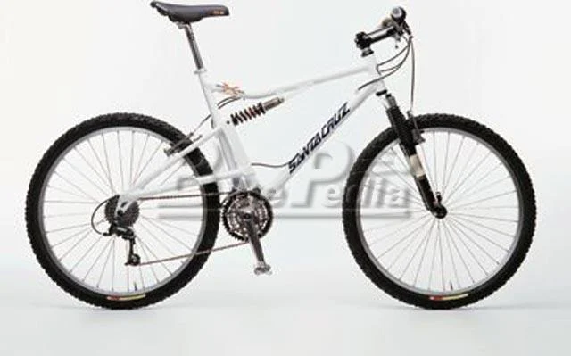 1998 Santa Cruz Heckler X