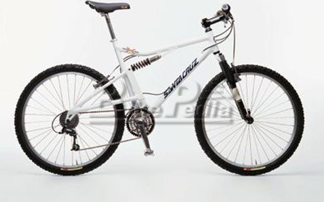 1998 Santa Cruz Heckler X