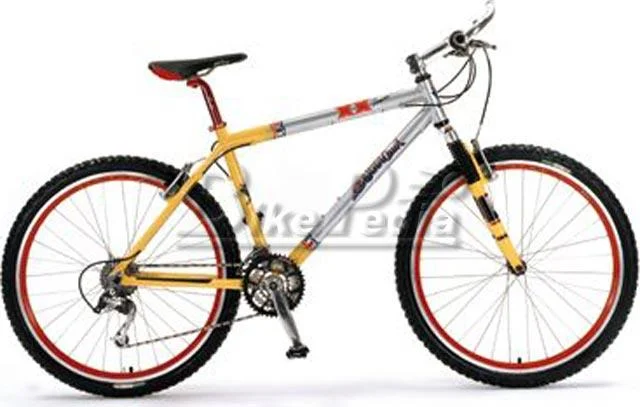1998 Barracuda XX Team