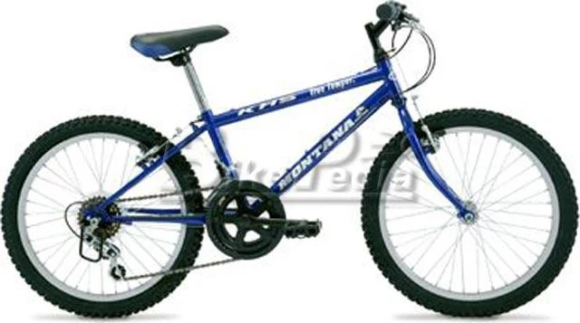 1998 KHS Montana Raptor