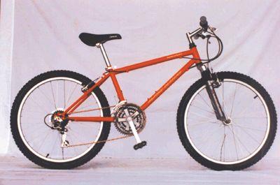 1998 Alpine Designs Adventure 24" Shock