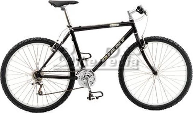 1998 Giant Iguana (02)