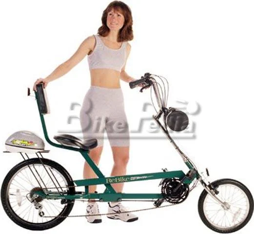 1998 ReBike ReBike 818