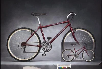 1998 Norco Bushpilot