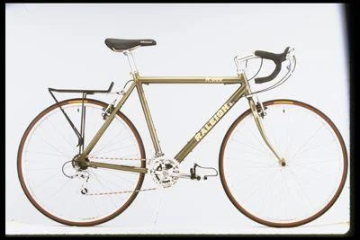 1998 Raleigh R-300 w/rear rack