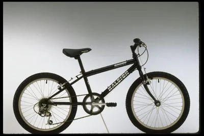 1998 Raleigh Rowdy