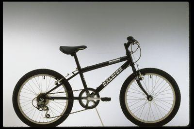 1998 Raleigh Rowdy