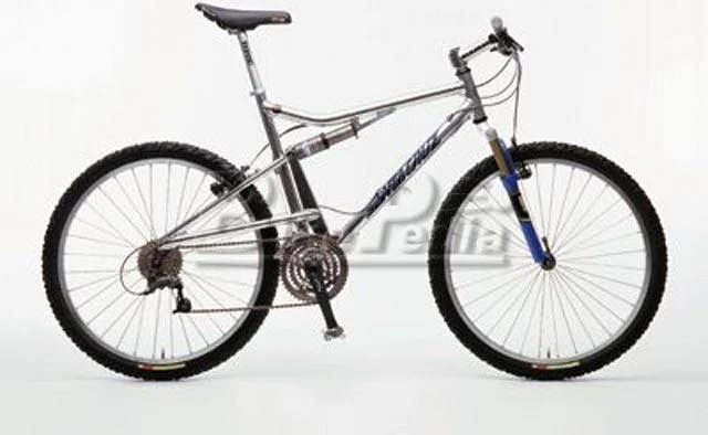 1998 Santa Cruz Heckler SL (02)