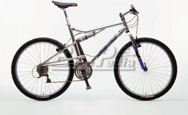 1998 Santa Cruz Heckler SL (02)