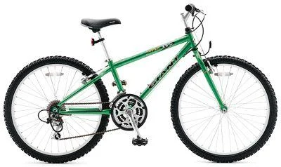 1998 Giant MTX 225