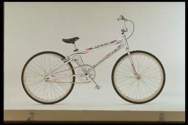 1998 Diamondback Reactor Jr.