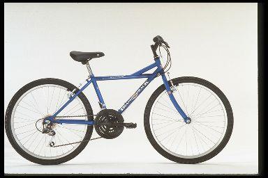 1998 Diamondback Sorrento 24