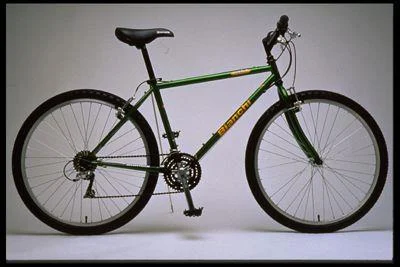 1998 Bianchi Ocelot