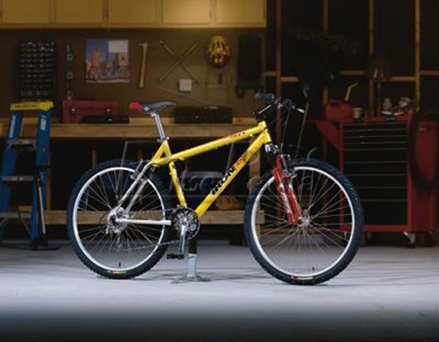 1998 Iron Horse ARS 4.0