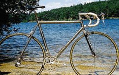 1998 Seven Cycles Axiom (05)