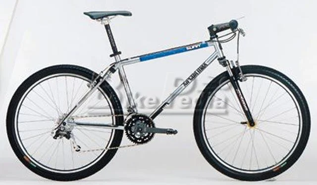 1998 Sunn Xircuit Max
