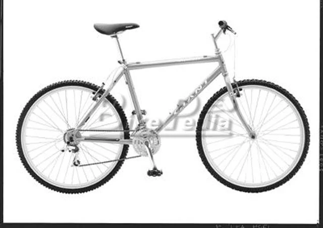 1998 Giant Rincon
