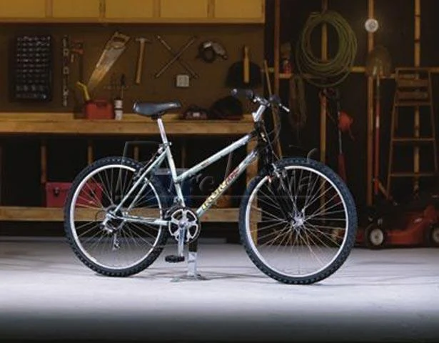 1998 Iron Horse Maverick