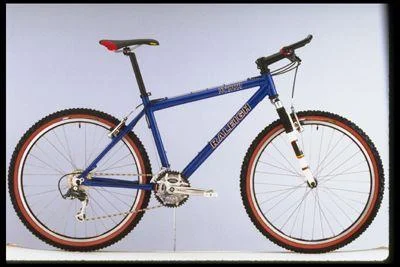 1998 Raleigh M800