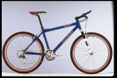 1998 Raleigh M800