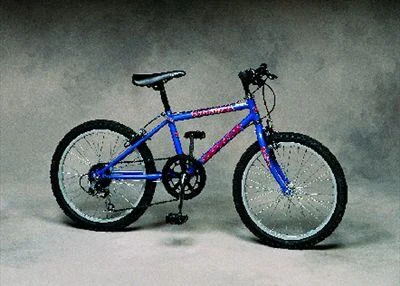 1998 Zephyr Wombat Jr.