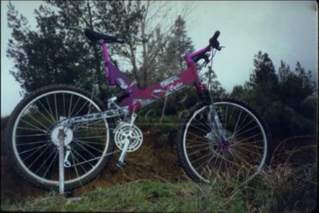 1998 Valley Cycles DS-100