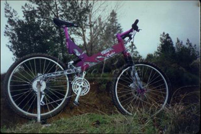 1998 Valley Cycles DS-100