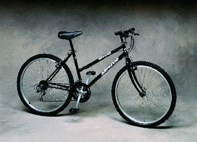 1998 Zephyr Silvertip