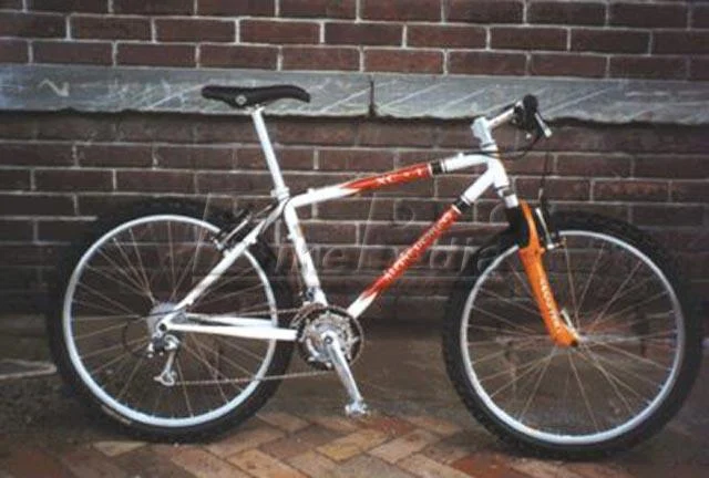 1998 Alpine Designs XC-1