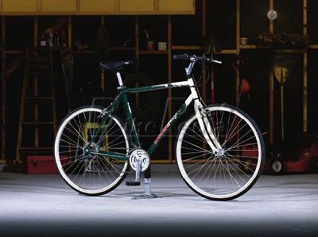 1998 Iron Horse Adventure (01)