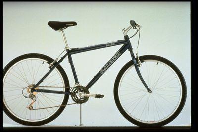 1998 Raleigh M-45