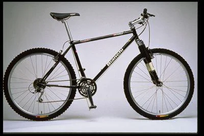 1998 Bianchi Denali