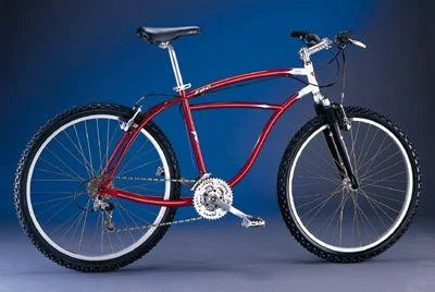 1998 Electra Bomber 21